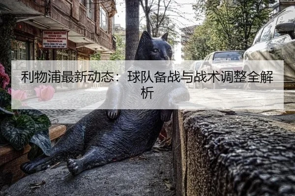 利物浦最新动态：球队备战与战术调整全解析
